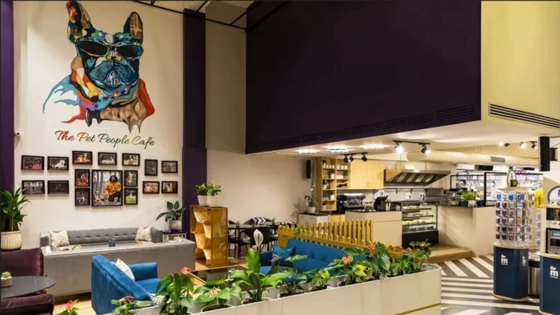 Pet Cafés in Bangalore (Therpup / The Pet People Café)
